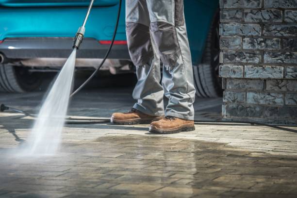Best Winterizing Services  in Tequesta, FL