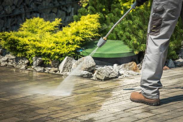 Best Animal Enclosure Cleaning  in Tequesta, FL